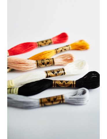 DMC-Mouliné spécial 25-117MC