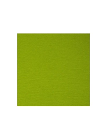 BORD COTE - Vert Clair - 3