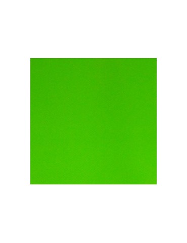 BACHE - VERT POMME - 626