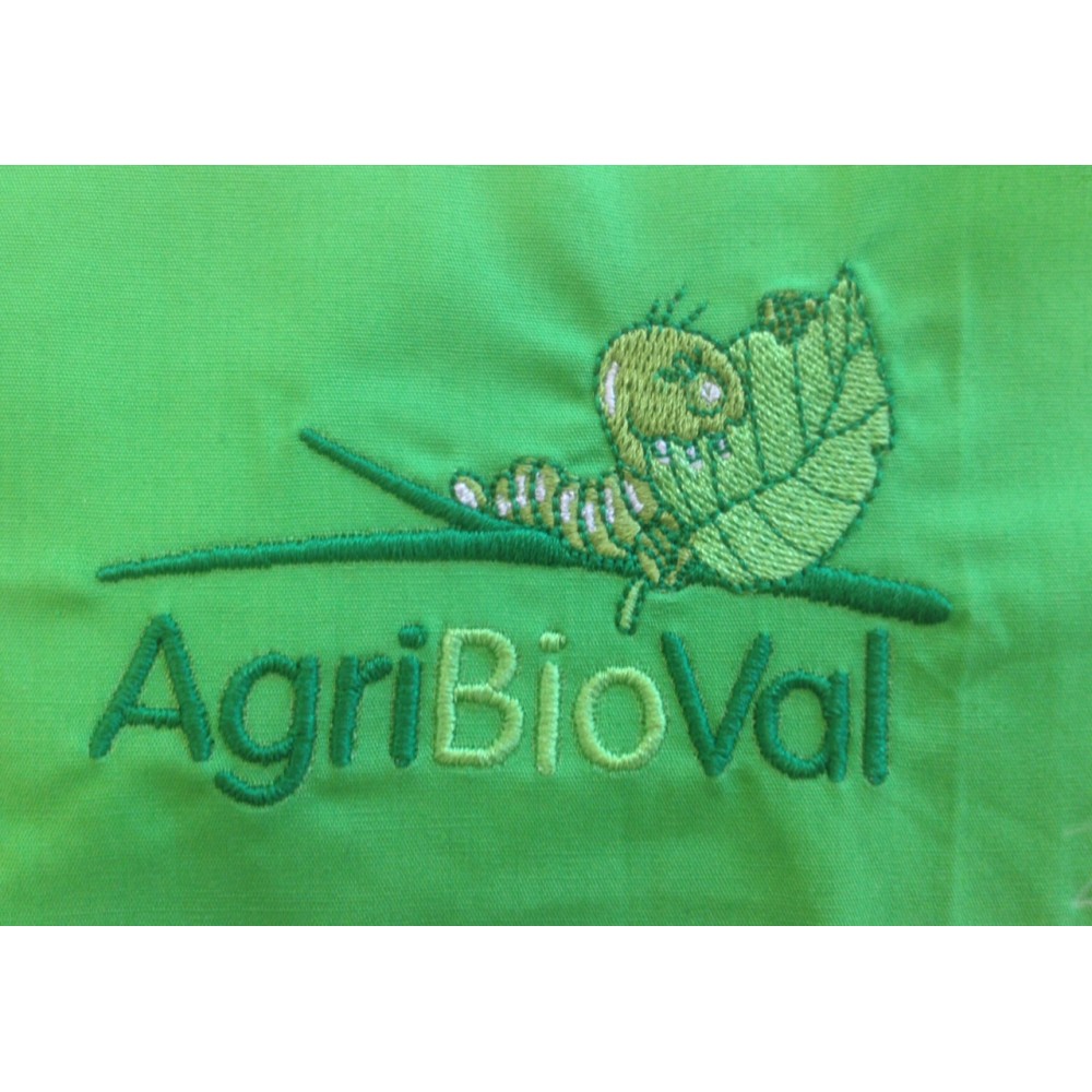 Exemples broderies personnalisées